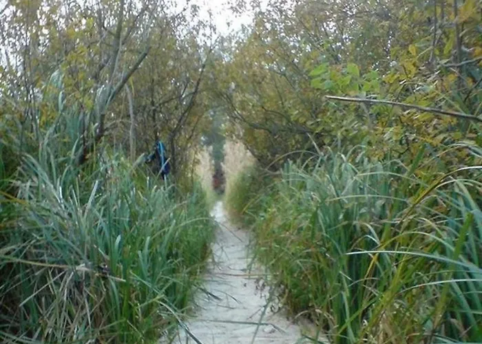 בית נופש In 18379 בלטונפנבש