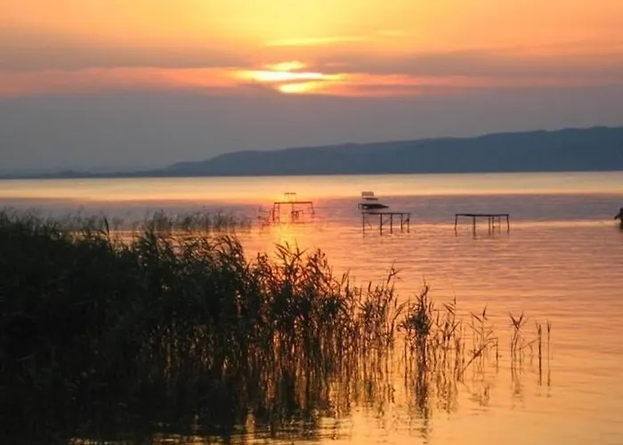 In 18379 別荘 バラトンフェニヴェシュ